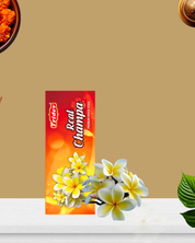 REAL CHAMPA PREMIUM DHOOP STICKS 12 PACKS OF 50 GMS X 100 EACH